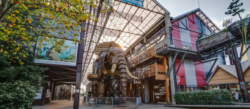 Search In The City : l’événement nantais à ne pas manquer !