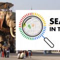 Search in the City 2 - SEO Nantes